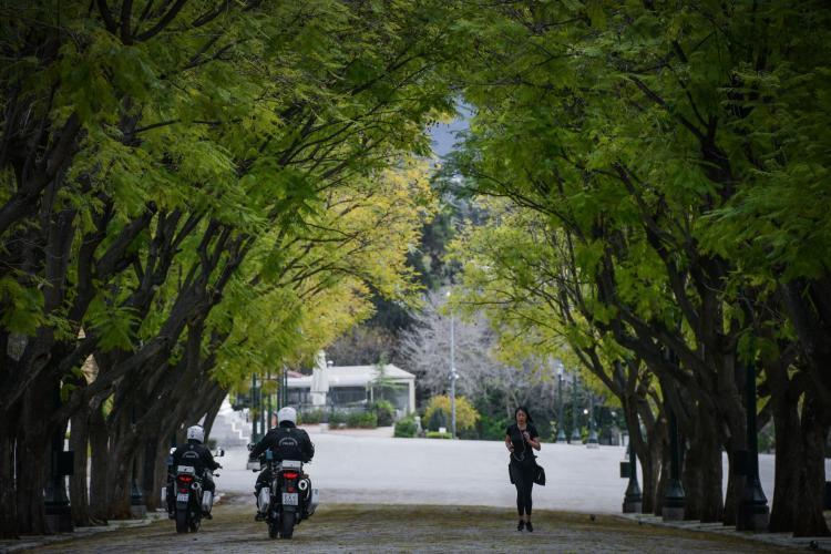 περιπολία σε δάση και επίφοβες περιοχές