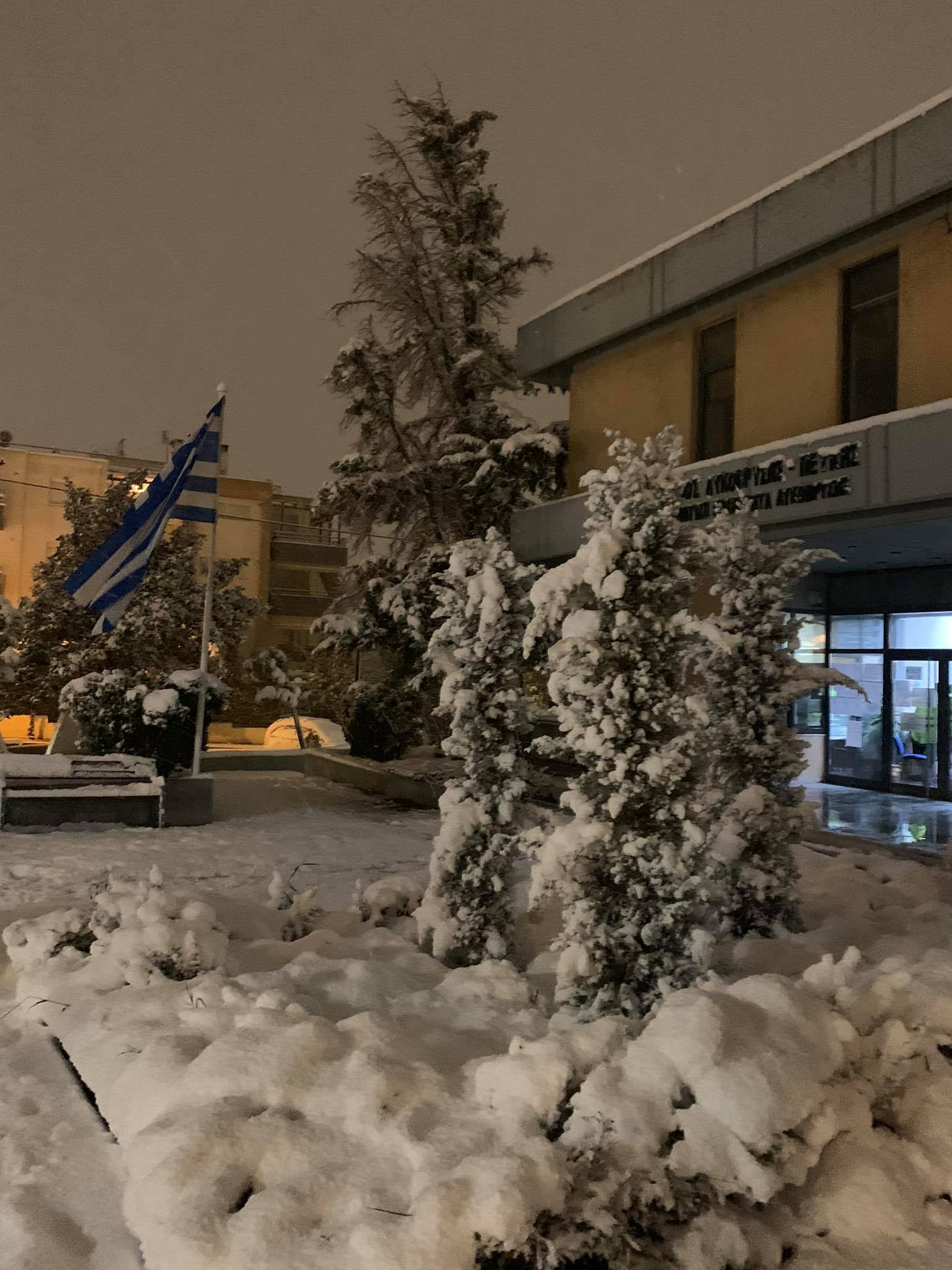 ΠΕΥΚΗ-ΠΛΑΤΕΙΑ-ΧΙΟΝΙ